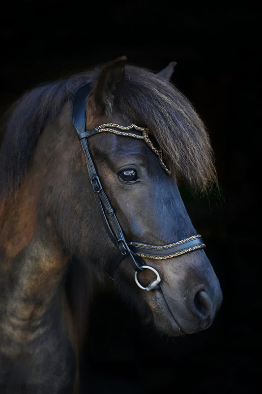 Trense "Glamúr"