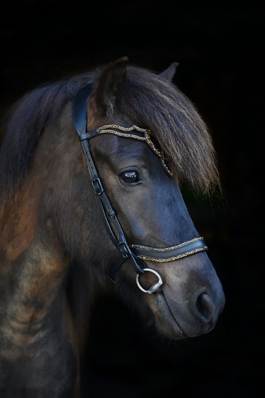 Trense "Glamúr"