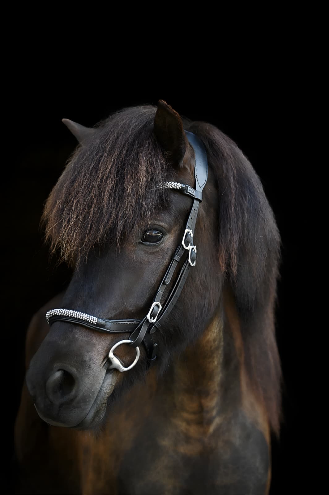Trense "Kringlótt Glimmer"